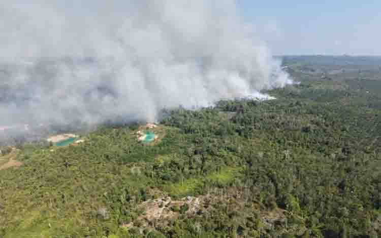 TNI AU Kerahkan Helikopter Caracal Tangani Karhutla Dekat IKN