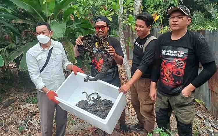 Komandan BKSDA Pos Sampit Muriansyah bersama aktivis lingkungan saat hendak menguburkan bangkai trenggiling, Minggu, 20 September 2026. (FOTO: DEWIP)