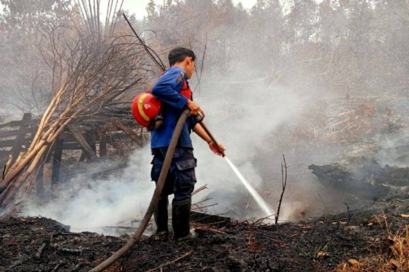 Personel Satgas Penanggulangan Karhutla Kotim tengah berupaya memadamkan kebakaran lahan gambut di Kelurahan Baamang Hulu, Senin (28/9/2026). ANTARA/HO-BPBD Kotim