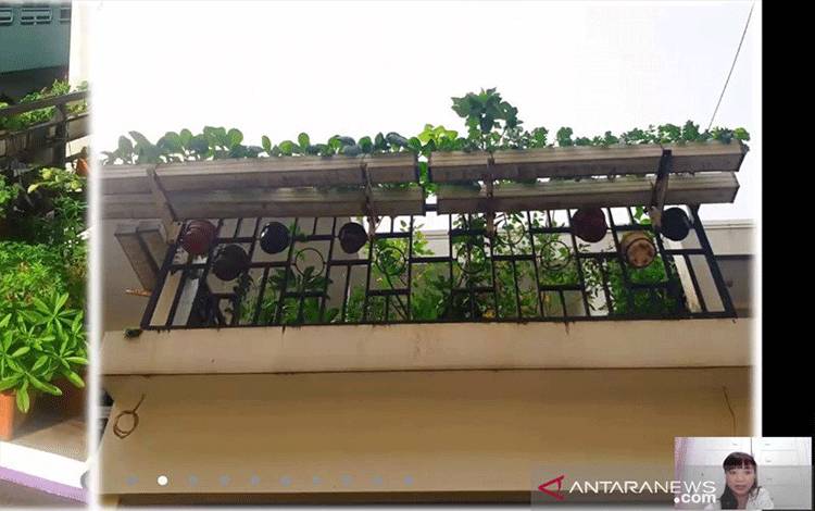 PKK Ajak Manfaatkan Pekarangan Rumah