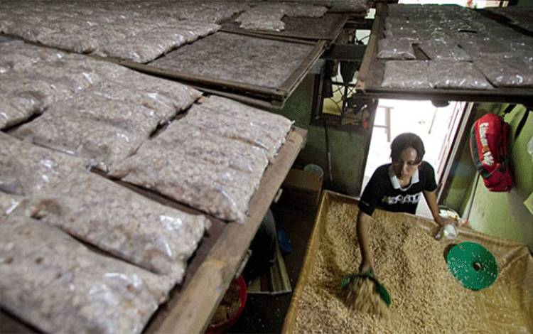 Harga Kedelai Meroket, Kemendag: Stok Cukup Hingga 3 Bulan Mendatang