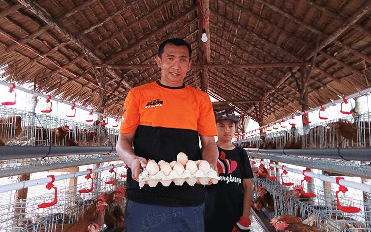 Kelompok Usaha Mungkur Bersinar Buka Kesempatan Masyarakat Belajar Ternak Ayam Petelur