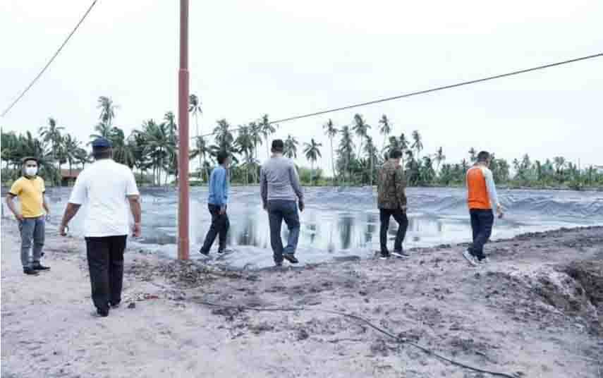 Sukamara Dapat Bantuan 18 Kolam untuk Budidaya Udang Vaname