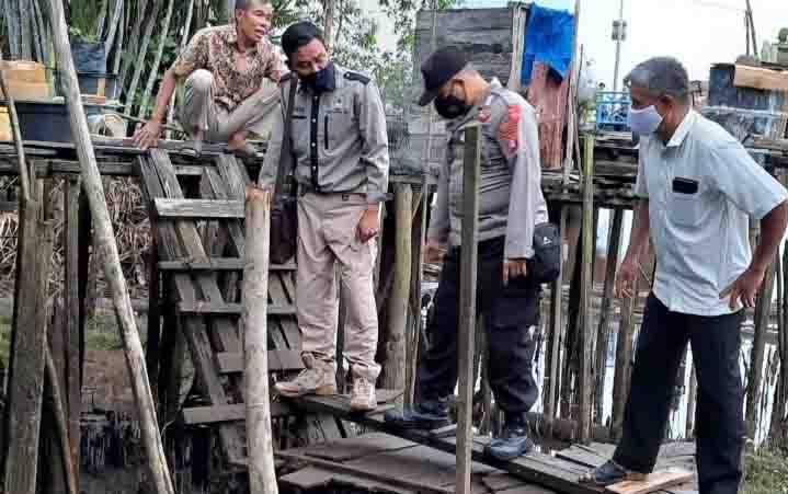 Masa Kawin dan Bertelur, Buaya Mengganas di Sungai Mentaya