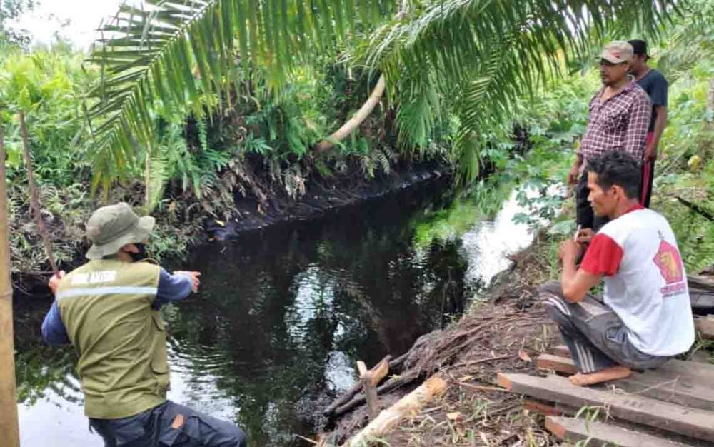 BKSDA Catat 11 Serangan Buaya di Kotim Selama 2020, ini Rinciannya
