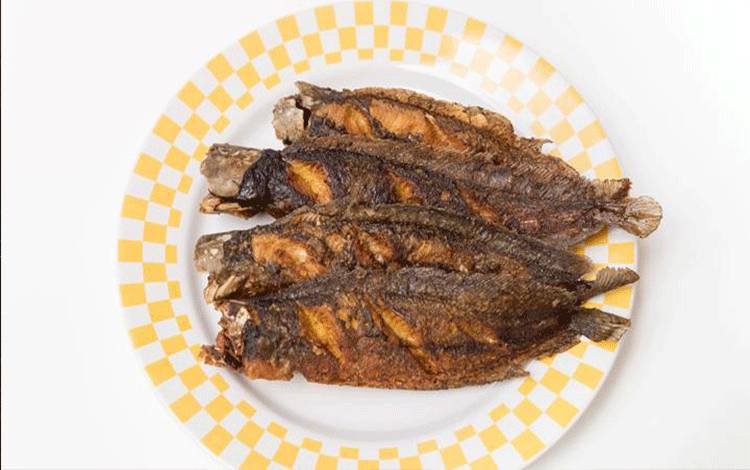 Intip Kandungan Protein Ikan Lele dan Manfaatnya untuk Kesehatan