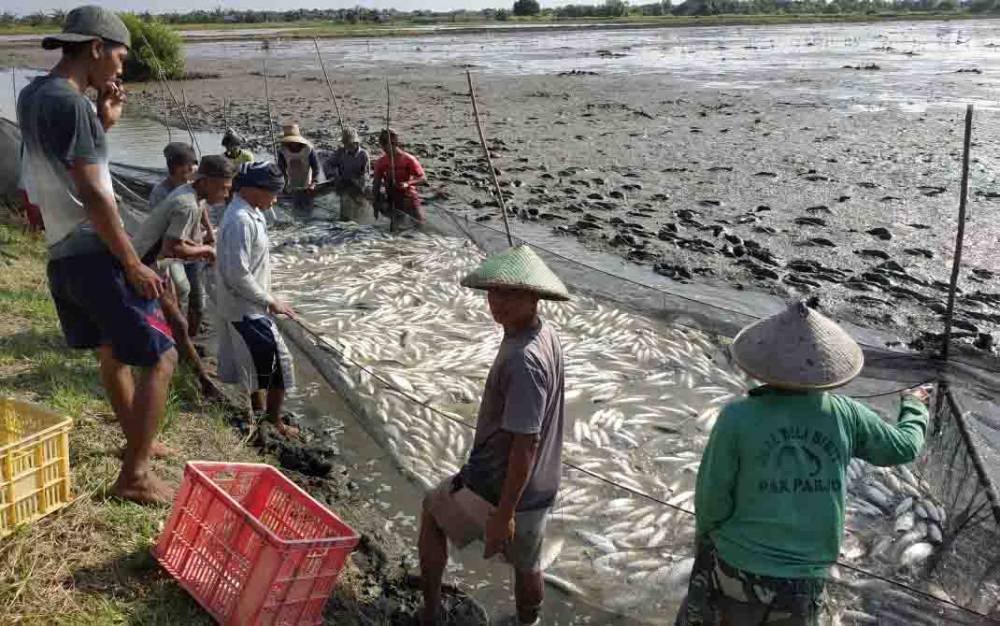 Kawasan Pertambakan di Seruyan Butuh Dukungan Infrastruktur Jalan