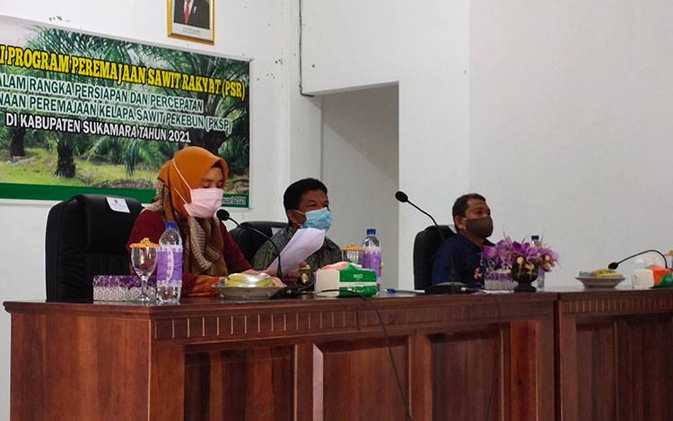 Sukamara Miliki Potensi Peremajaan Tanaman Kelapa Sawit Seluas 8 Ribu Hektare