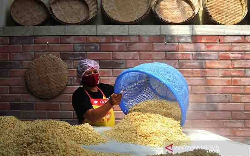 BUMN Diminta Bantu Riset Terkait Produktivitas Komoditas Kedelai