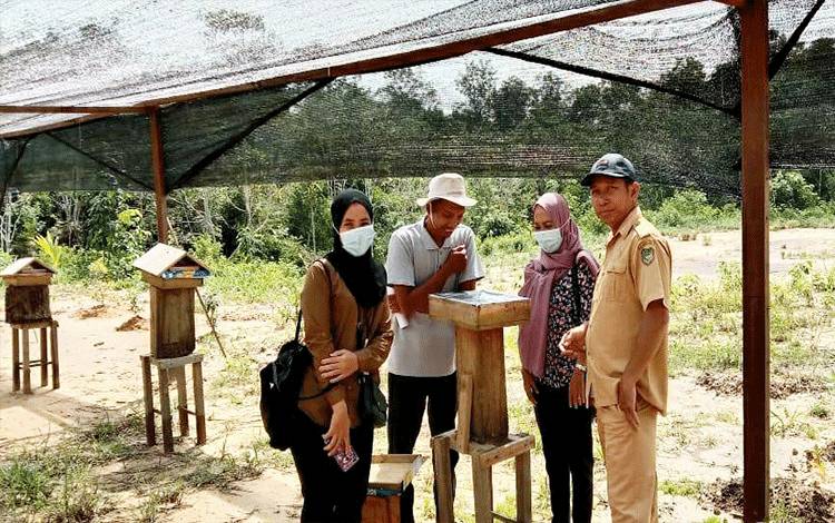 Pemdes Lemo II Dukung Pengembangan Budidaya Madu Kelulut