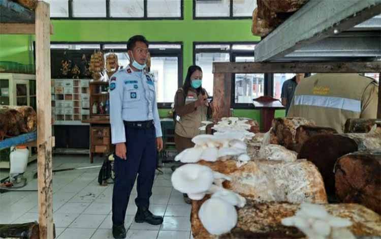 Rutan Kelas IIB Kuala Kapuas Kembangkan Budidaya Jamur