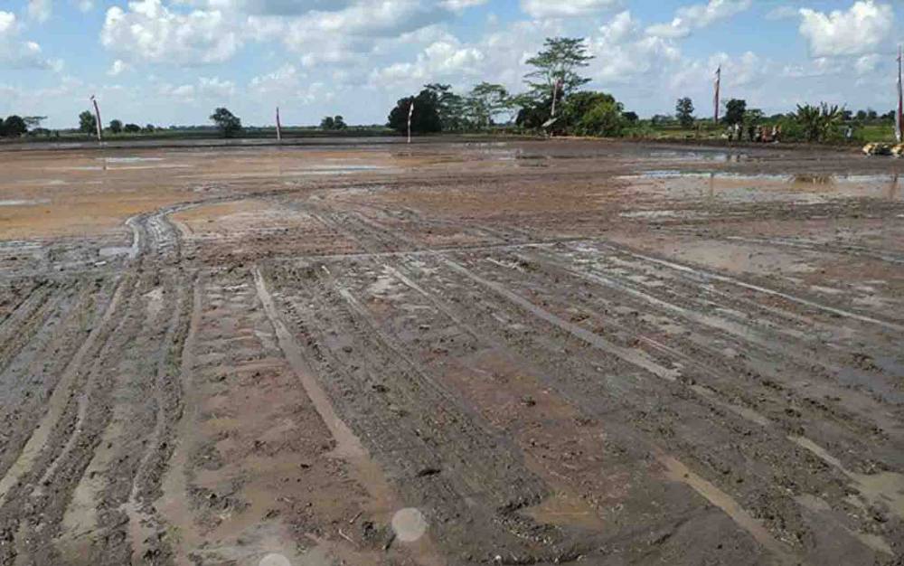 Dinas TPHP Kalteng Terus Koordinasi dengan Daerah untuk Sukseskan Program Food Estate