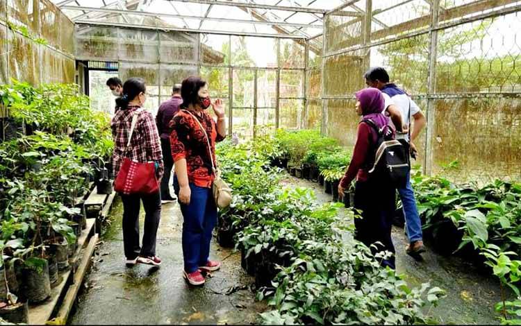 Dinas Pertanian Gunung Mas Terkesan dengan Balai Benih TPH Km 7 Barito Utara