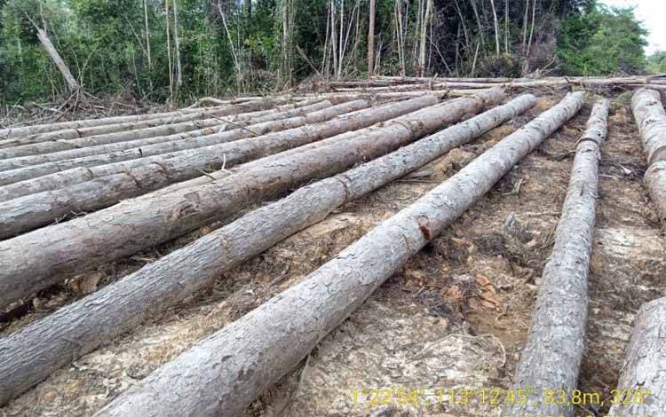 JPIK Apresiasi Polri Ungkap Pembalakan Kayu Kalimantan