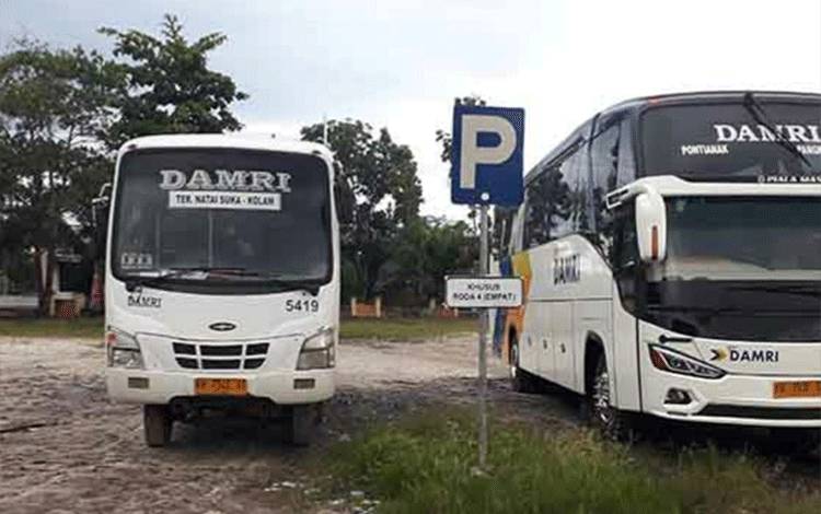 Trayek Perintis Kembali Diperluas, Pemkab Kobar Upayakan Damri Lintasi Tanjung Putri