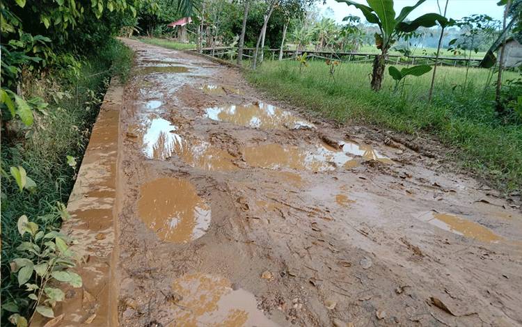 Jalan Penghubung Desa Pinang Tunggal dan Bararawa Banyak Kubangan
