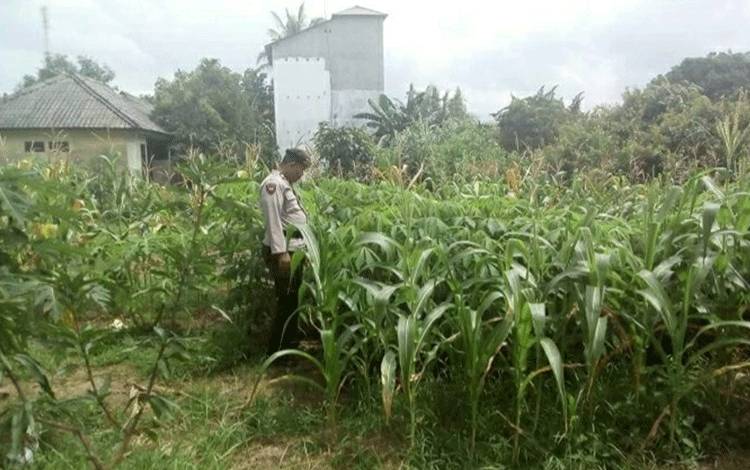 Bhabinkamtibmas Beri Motivasi Dukung Ketahanan Pangan
