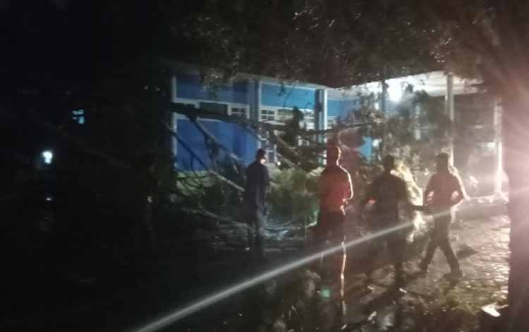 Pohon di Halaman Kantor PWI Kobar Tumbang