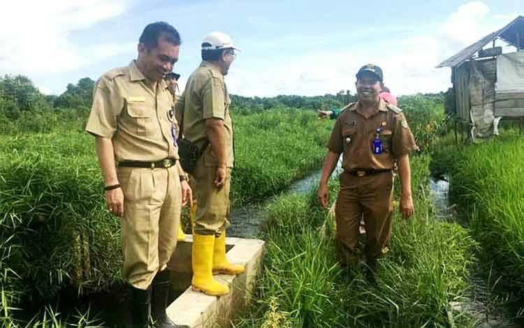 Plt Kadis Pertanian Tinjau Pelaksanaan Program Optimalisasi Lahan Rawa di Tumpung Laung