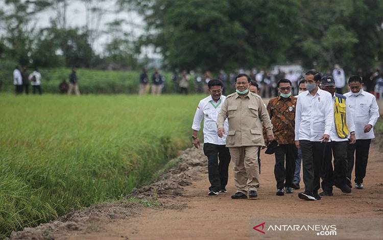 Musim Penghujan, Sebagian Areal "Food Estate" Kalteng Belum Ditanami