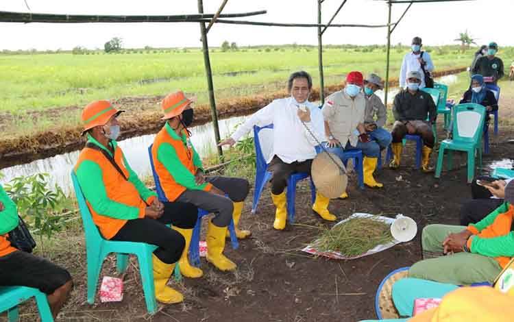 Demfarm BRGM-RI Dorong Budidaya Tanaman Pangan Lahan Gambut