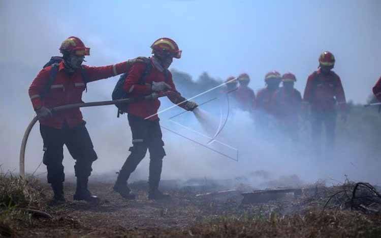 Gugatan KLHK Dikabulkan, PT Rambang Agro Jaya Harus Ganti Rugi Rp 137,6 Miliar