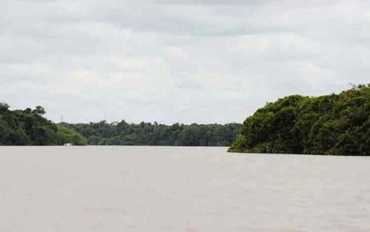 Konsep Green Growth Gabungkan Ekonomi Sosial dan Lingkungan