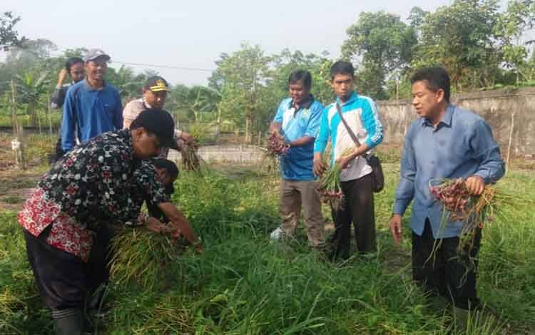 Pemkab Sukamara akan Bangun Kebun Sawit untuk Masyarakat