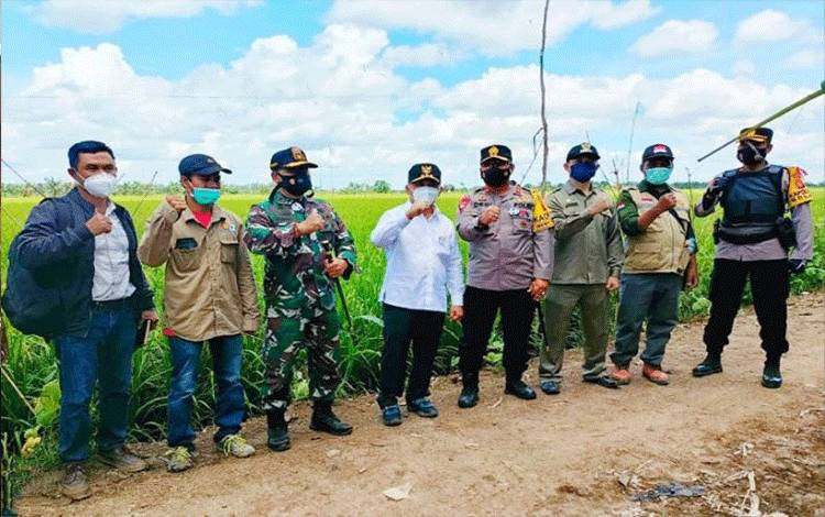 Jokowi Akan Kunjungi Food Estate Kalteng Pekan III Februari