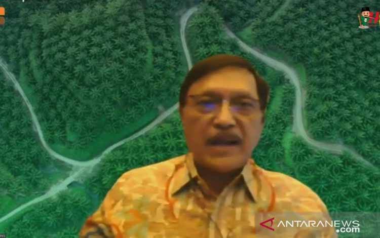 RI akan Ofensif Lawan Kampanye Hitam Sawit