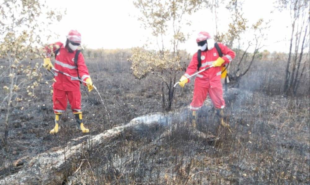 Cegah Karhutla, Manggala Agni Daops Kalimantan III/Pangkalan Bun Terus Pantau Hotspot