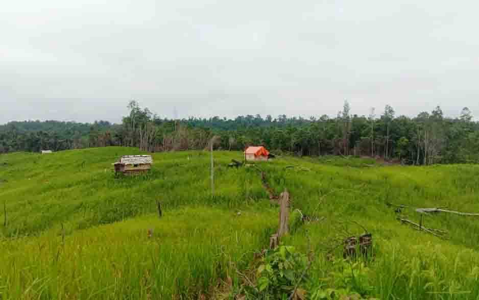Pemerintah Daerah Bina Kelompok Tani di Desa Muara Bakah