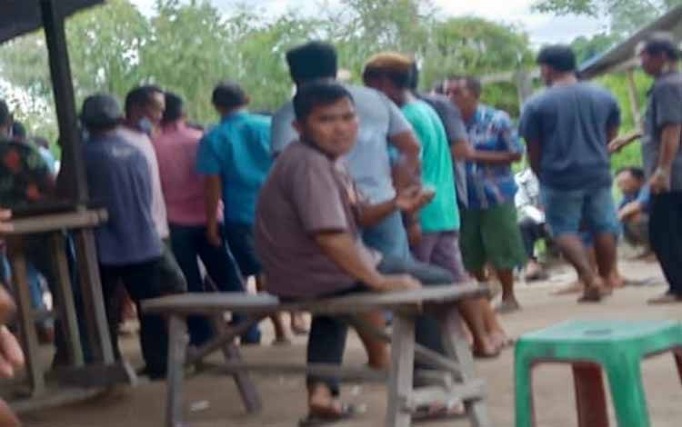 Di Sampit, Judi Sabung Ayam Marak Lagi