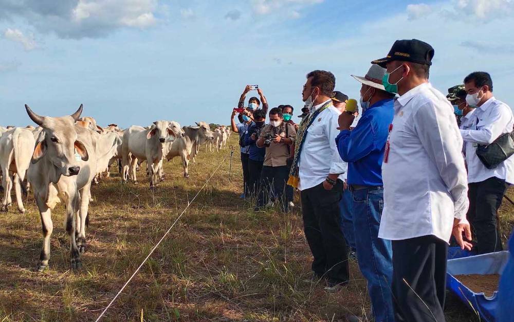 Menteri Pertanian Kunjungi Sukamara Ranch