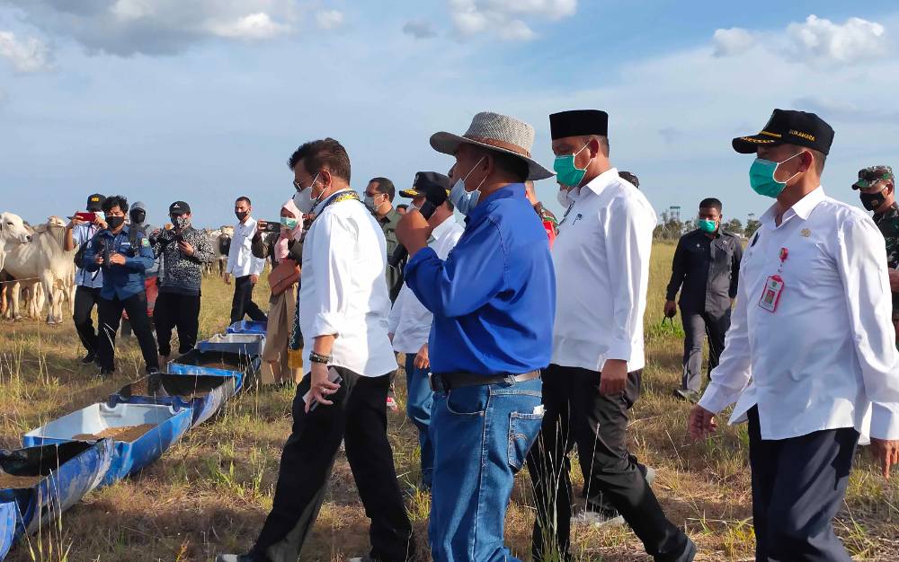 Gubernur Kalteng Apresiasi Kunjungan Menteri Pertanian ke Sukamara Ranch