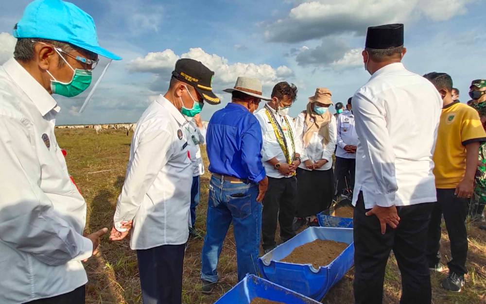 Sukamara Ranch akan Bina Peternak Sapi