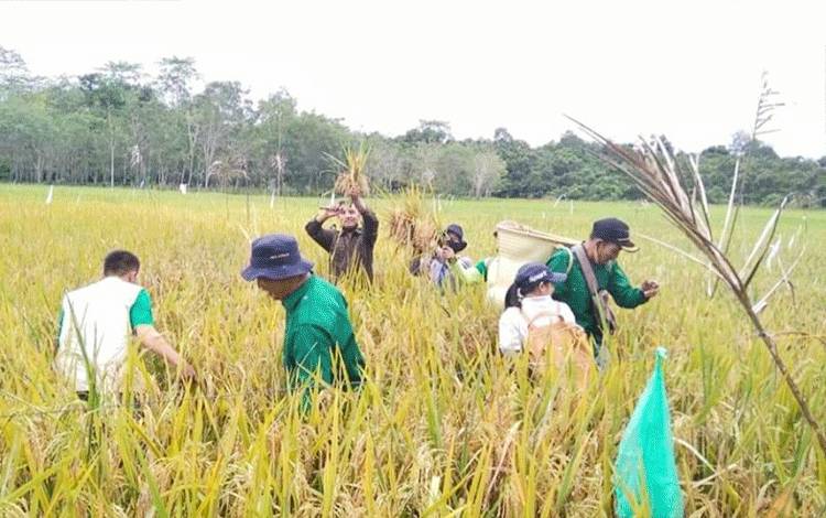 Kepala Dinas Pertanian Barito Utara Apresiasi Penyuluh dan Petugas Teknis BPP Kandui