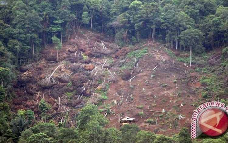 Polri Serahkan Tahap II Tersangka Illegal Logging Kalteng ke Kejaksaan