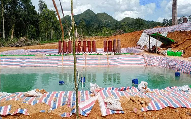 2 Pemilik Tambang Emas Mempekerjakan WNA Asal Tiongkok Informasinya Telah Ditangkap