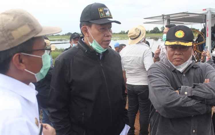 Target Tanam Lahan Food Estate Luas 20.000 Haktare di Kapuas Selesai April 2021