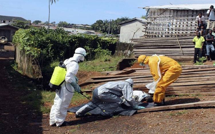 WHO Peringatkan Afrika soal Wabah Ebola di Kongo dao?Guinea
