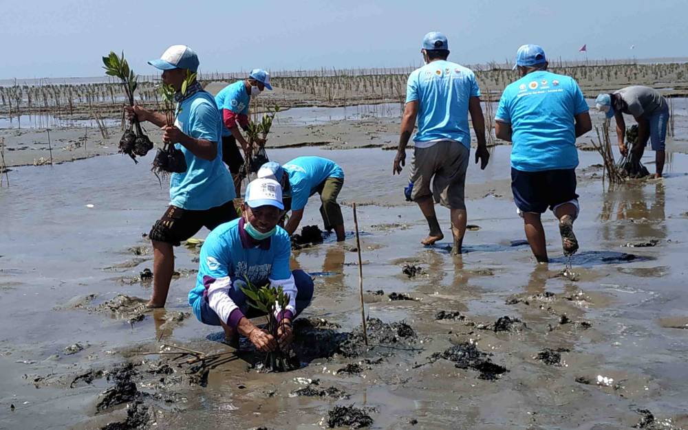 Tingkat Abrasi Pesisir Seruyan Mengkhawatirkan