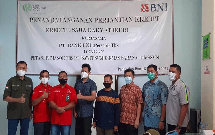 Video Penandatangan Akad Kredit Mitra Swadaya Plasma Binaan PT. SSMS Bersama BNI