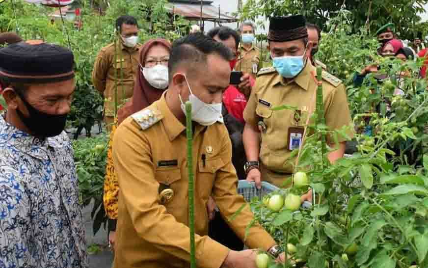 Wali Kota Palangka Raya Ingin Sektor Pertanian Terus Dikembangkan