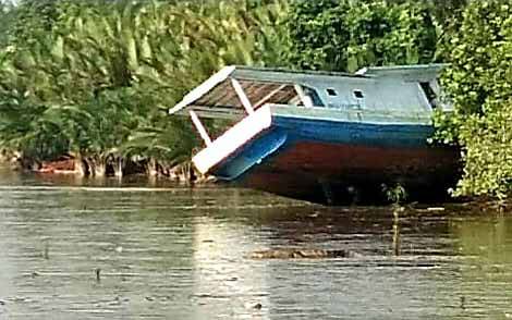 Populasi Buaya Sungai Kumai Ancam Keselamatan Warga