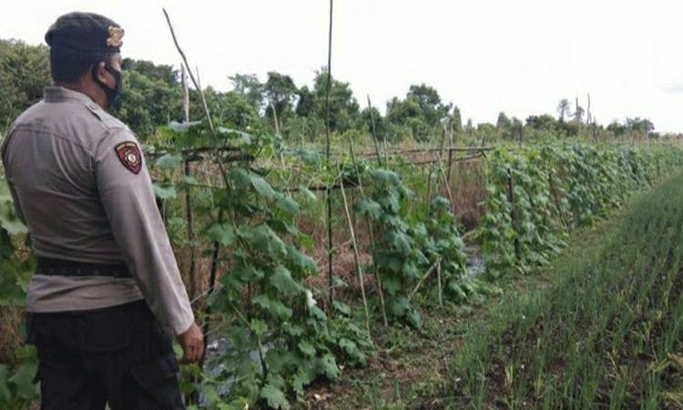 Personel Polsek Basarang Beri Motivasi Warga Dukung Ketahanan Pangan