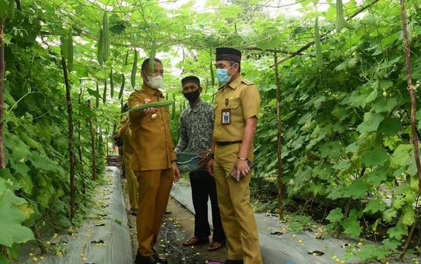 Wali Kota Palangka Raya Apresiasi Warga Kreatif Kelola Lahan Kosong