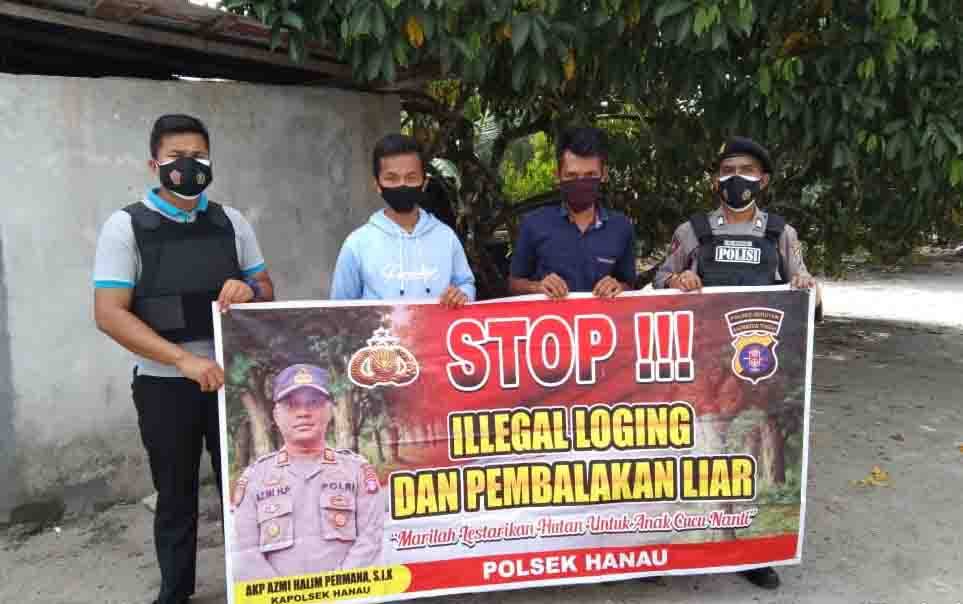 Warga Hanau Diminta Cegah Praktik Pembalakan Liar