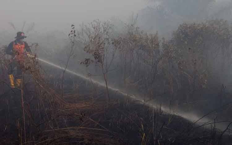 2 Anggota Kelompok Tani Diperiksa Polisi karena Lahannya Terbakar