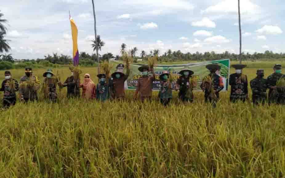 Poktan Teratai Jaya Desa Sungai Pasir Gelar Syukuran Panen Padi